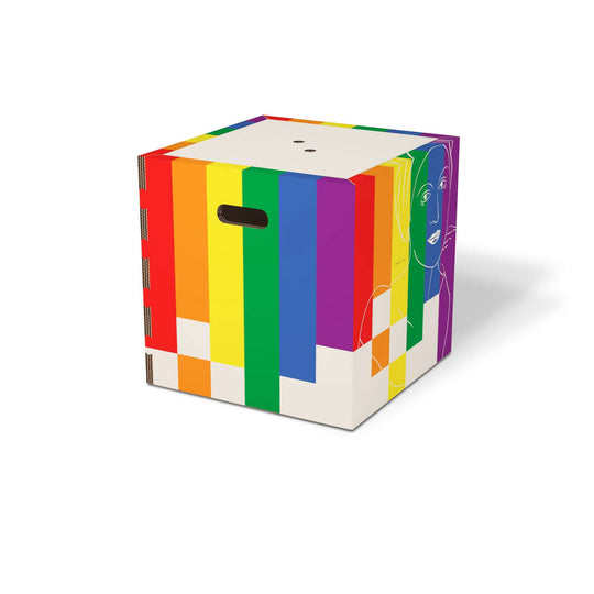 Cubo contenitore colorato di design