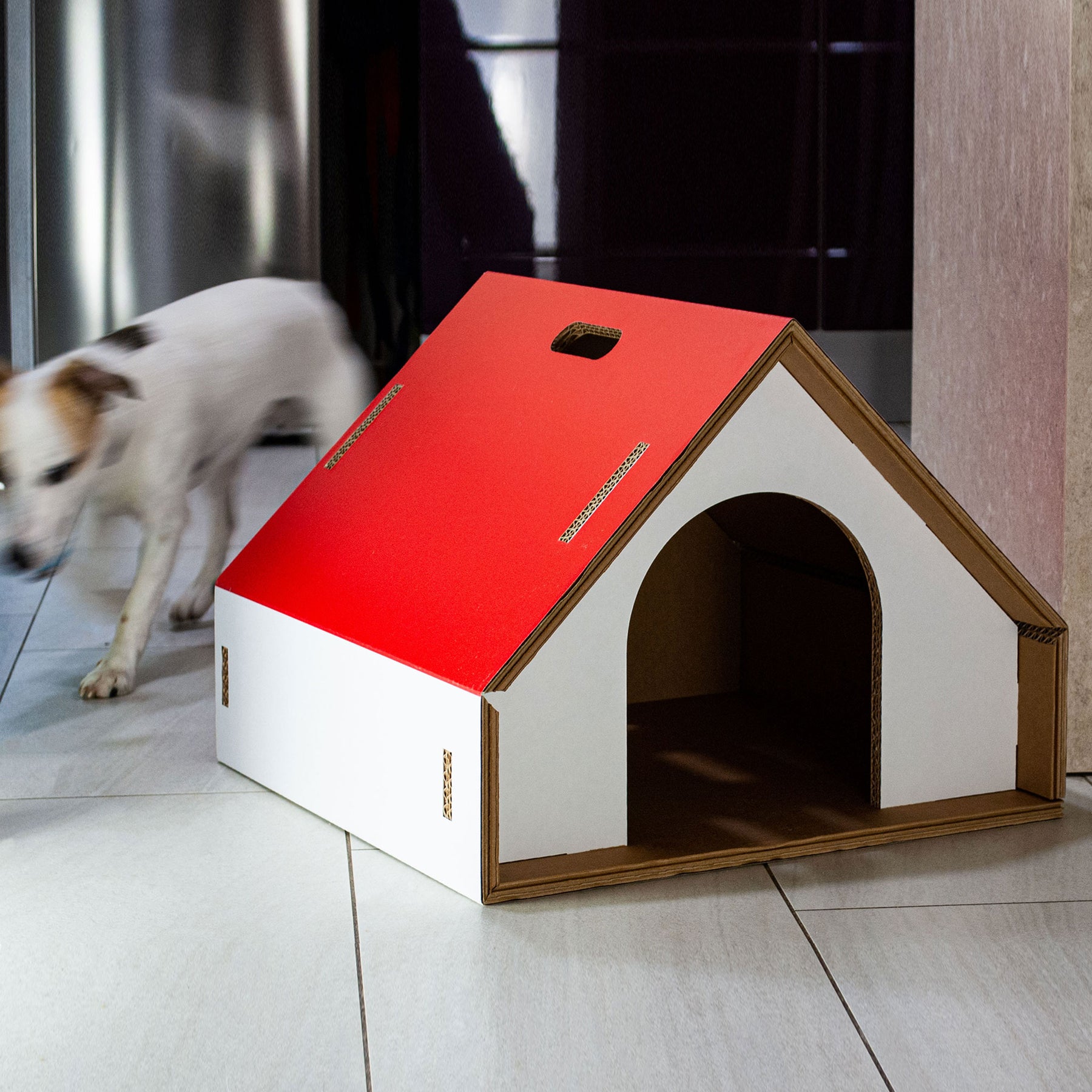 Indoor dog house, eco-friendly and original