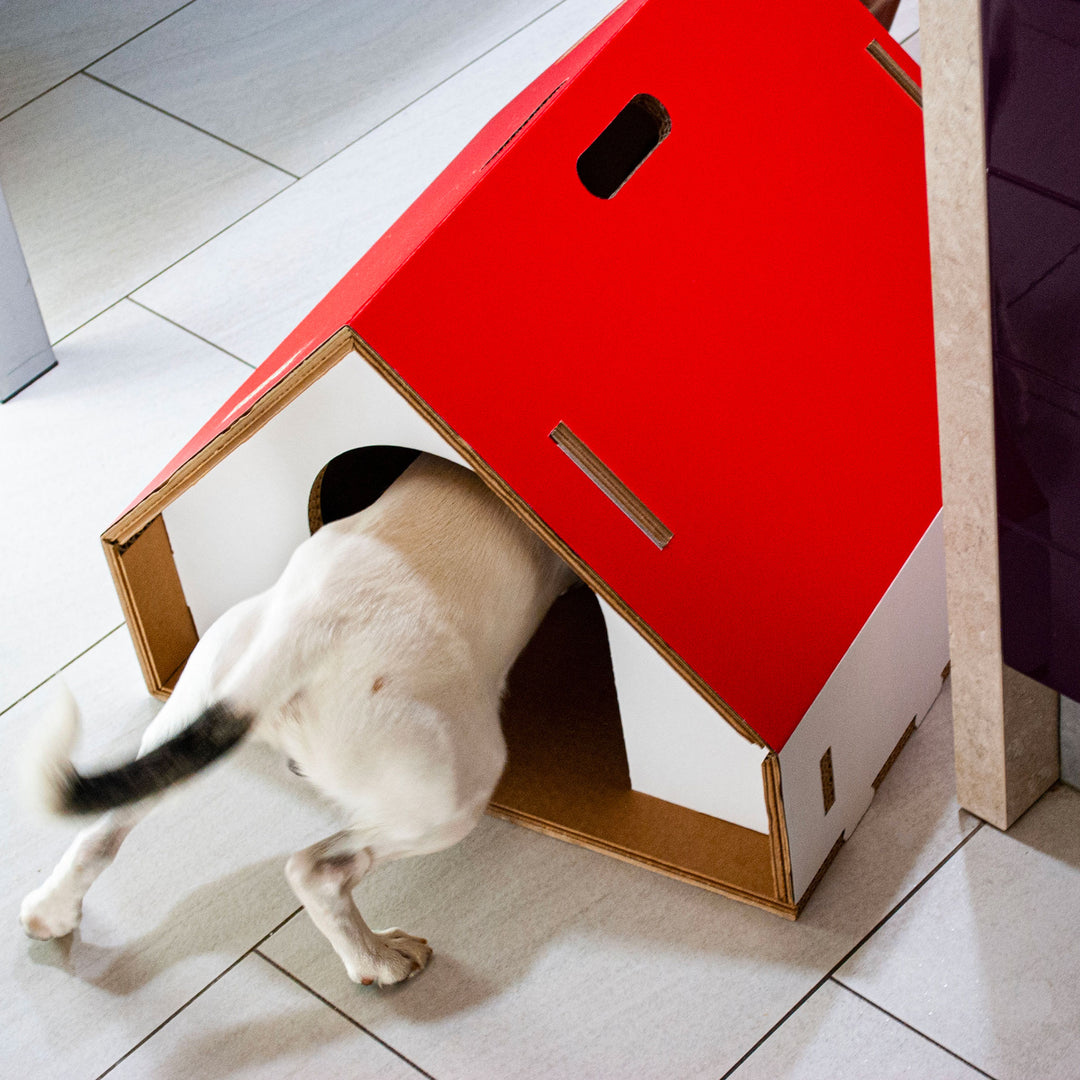 Cuccia per cani da interno ecodesign Dogpotai