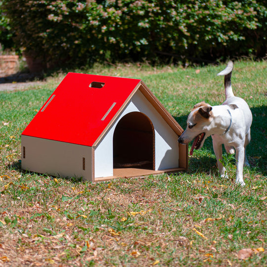 Cuccia per cani da interno ecodesign Dogpotai