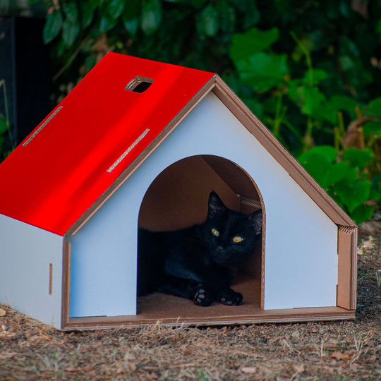 Niche pour chien d'intérieur éco-conçue Dogpotai