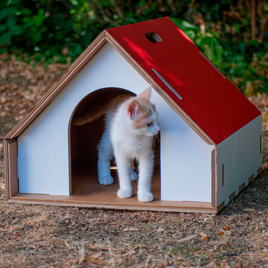 Cuccia per cani da interno ecodesign Dogpotai