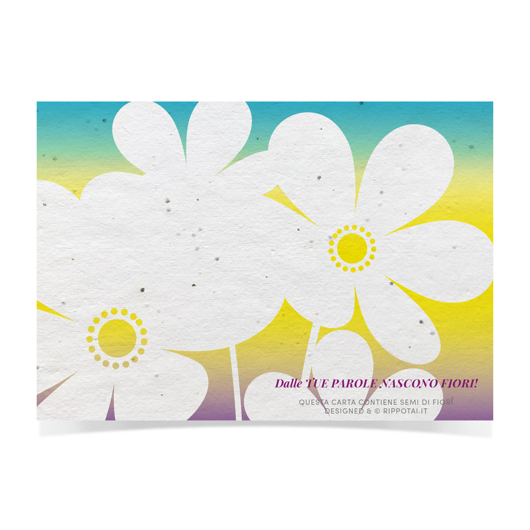 Kit de 4 cartes de vœux et 1 marque page semi papier - New Romantic