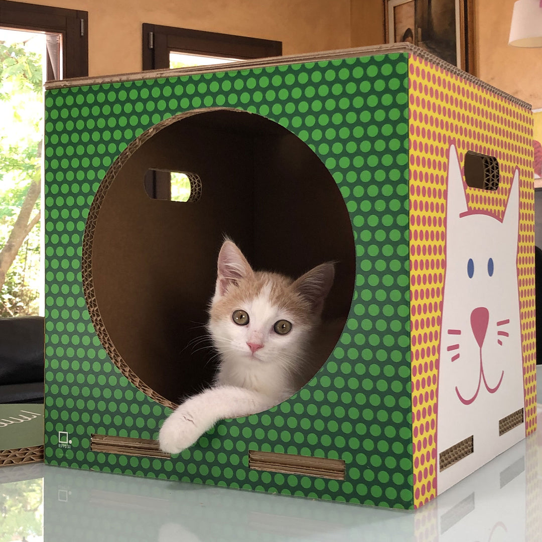 Eco-sustainable cat house Catpotai