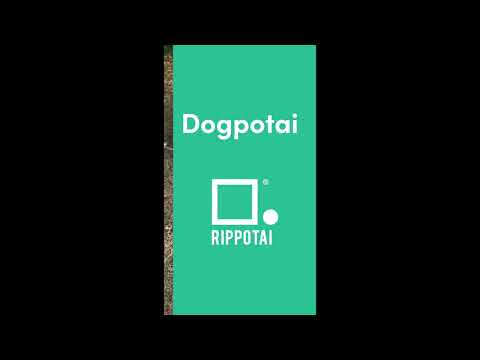 Dogpotai Indoor-Hundezwinger im Öko-Design