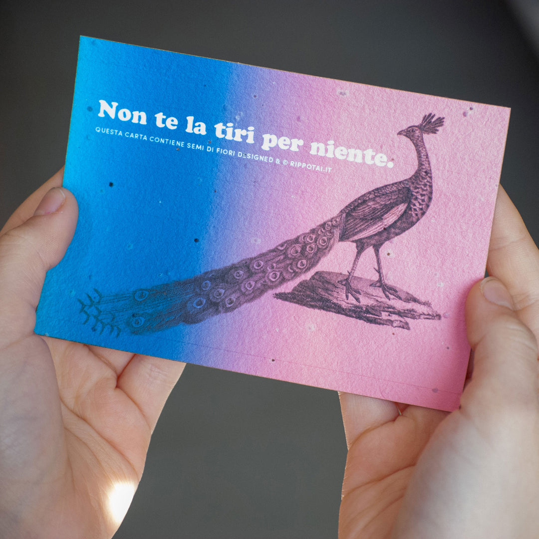 Ensemble de 4 cartes irrévérencieuses et 4 étiquettes cadeaux "voeux" en semi-papier