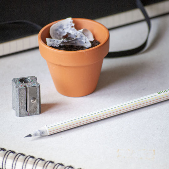 Plantable pencil with seeds