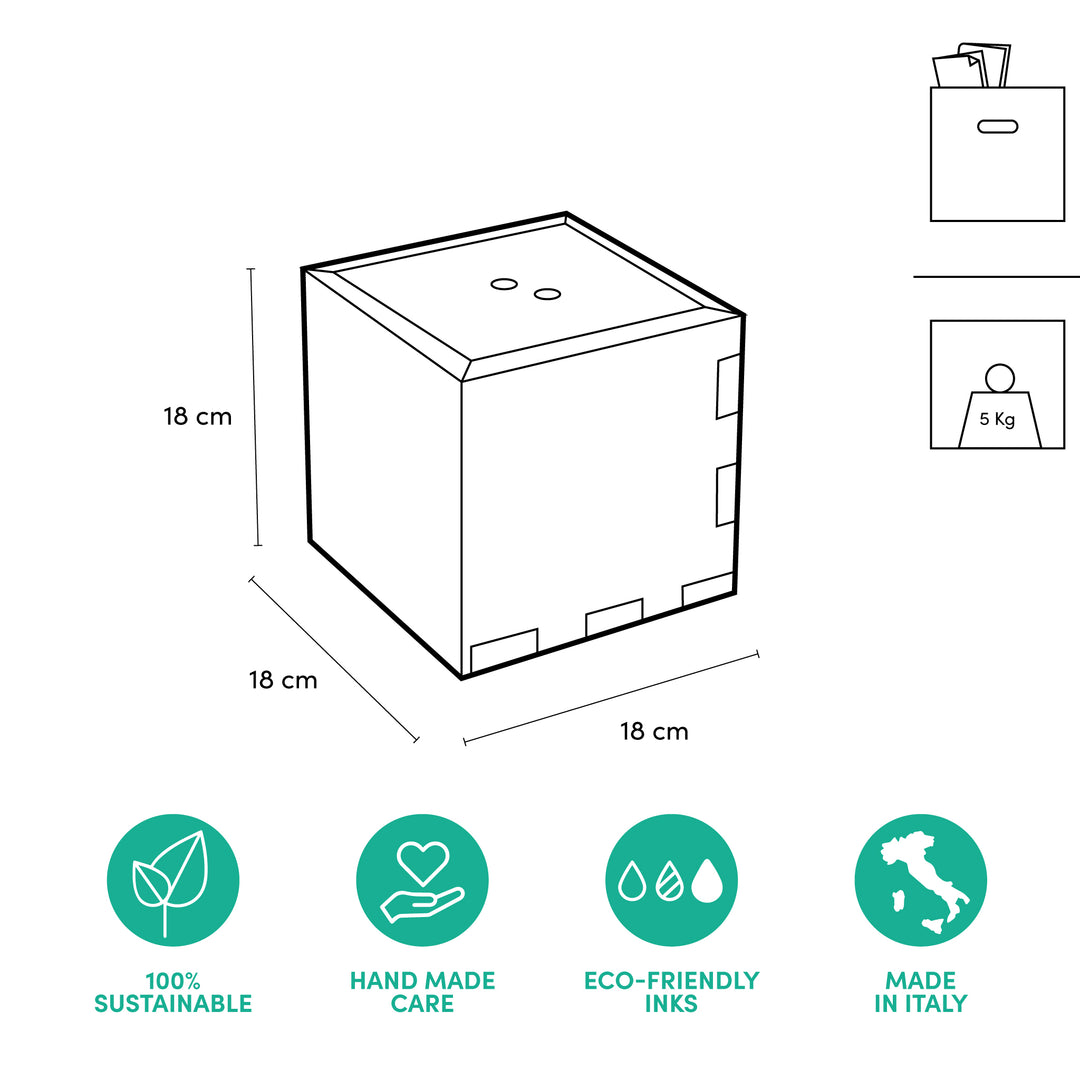 Eco-friendly valet box and jewelry box Jungle